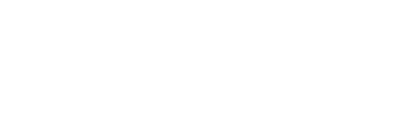 Next Level Engineering logo